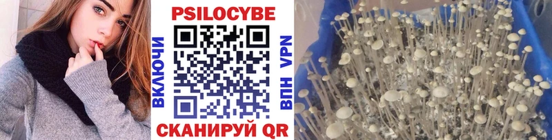 Галлюциногенные грибы MAGIC MUSHROOMS  Купить где  Самара 